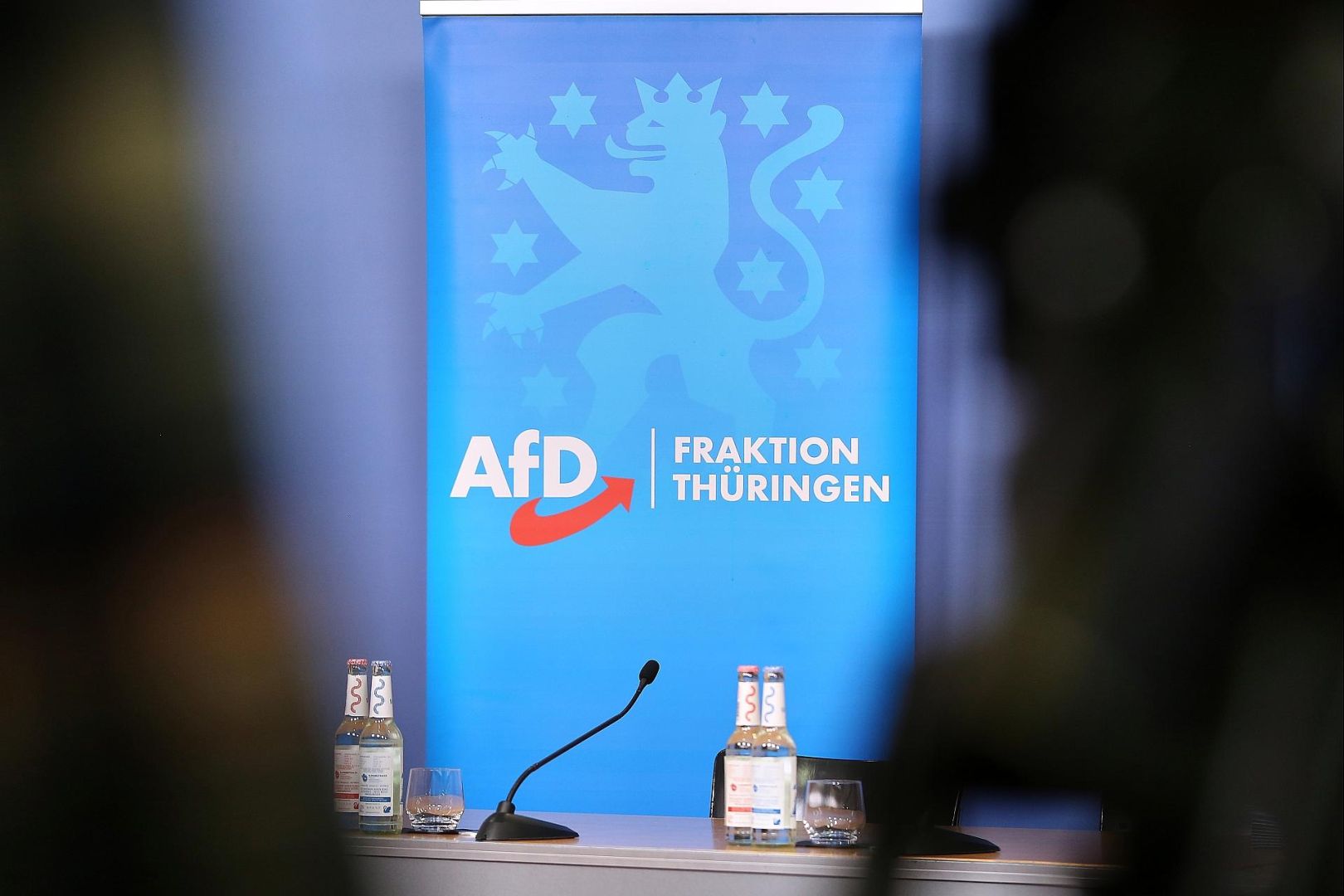 AfD-Fraktion im Thüringer Landtag (Archiv)