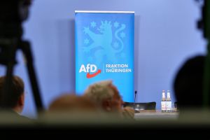 AfD-Fraktion im Thüringer Landtag (Archiv)