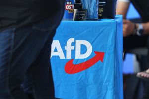 AfD-Logo (Archiv)