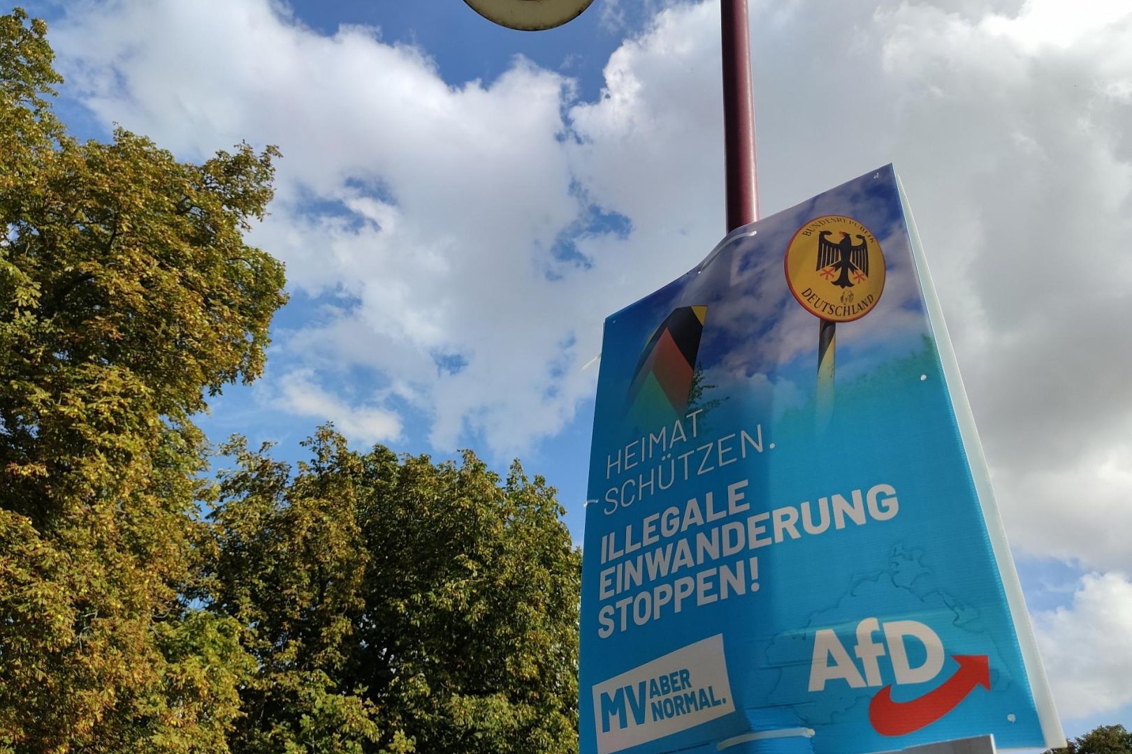 AfD-Plakat zur Landtagswahl Mecklenburg-Vorpommern 2021 (Archiv)