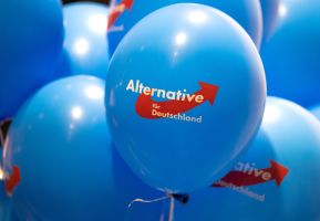 AfD Rheinland-Pfalz