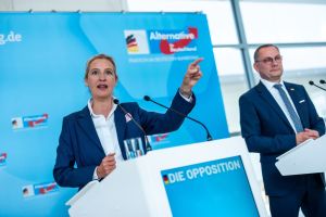 AfD scheitert bei Wahl um Vorsitz des Haushaltsausschusses
