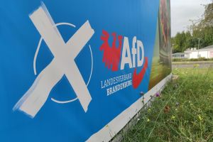 AfD-Wahlplakat zur Landtagswahl in Brandenburg (Archiv)