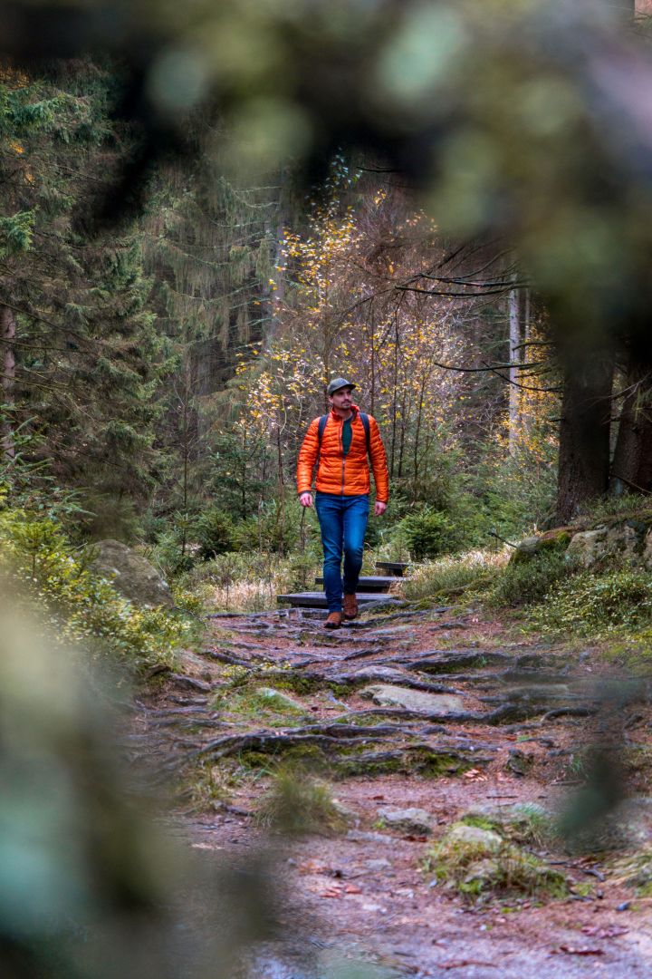 Afterwork-Wanderung – Abschlusstour des Jahres 2025