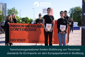 Aktion vor dem Europaparlament: Forderung nach gleichen Tierschutzstandards für EU-Importe
