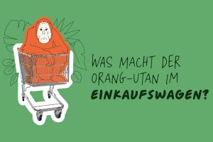 Aktionstag Palmöl: Was macht der Orang-Utan in meinem Einkaufswagen?