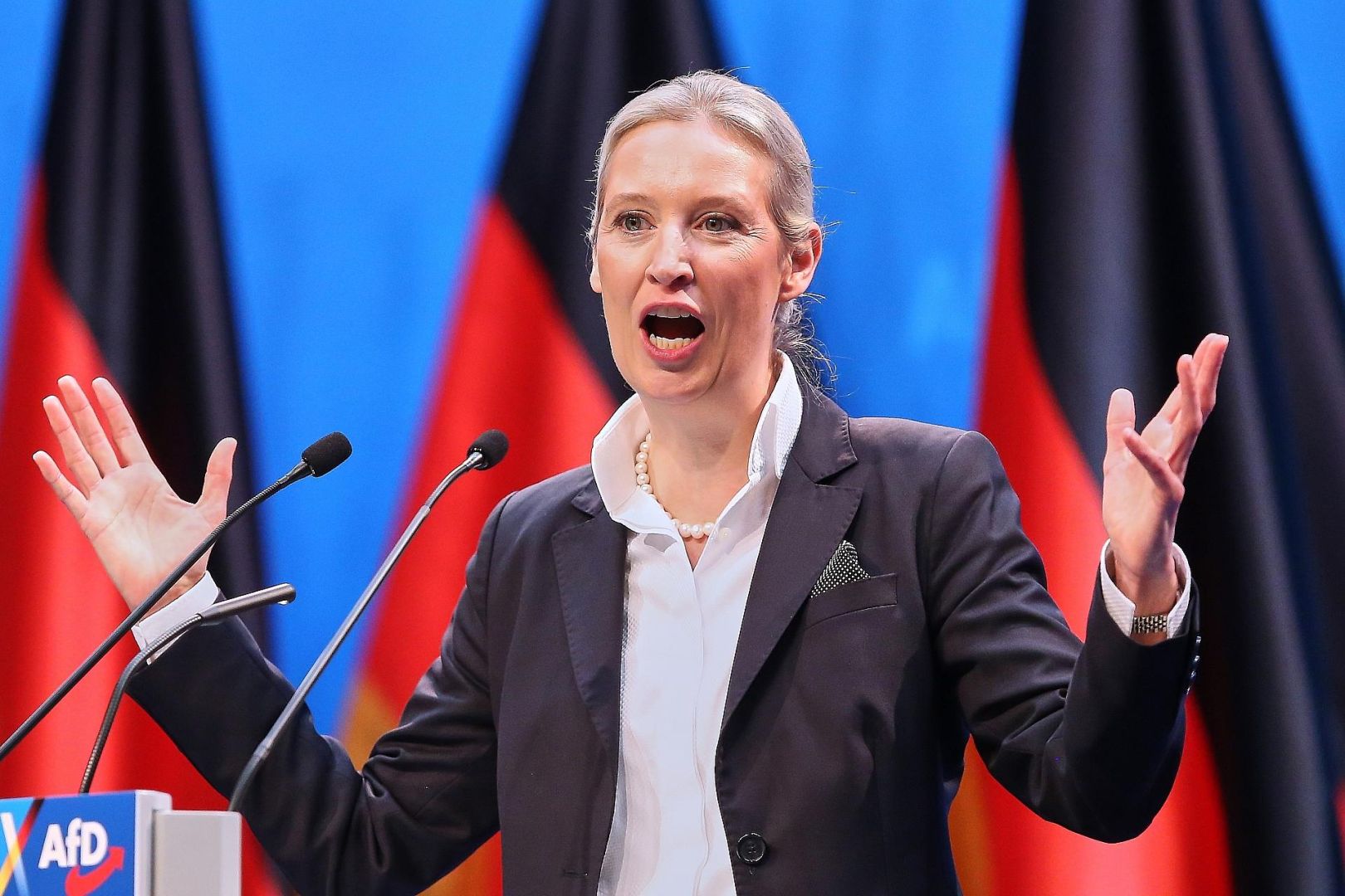 Alice Weidel (Archiv)
