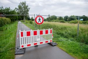 Alligator-Suche in Vechta beendet