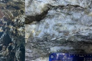 Alte und neue Goldschätze