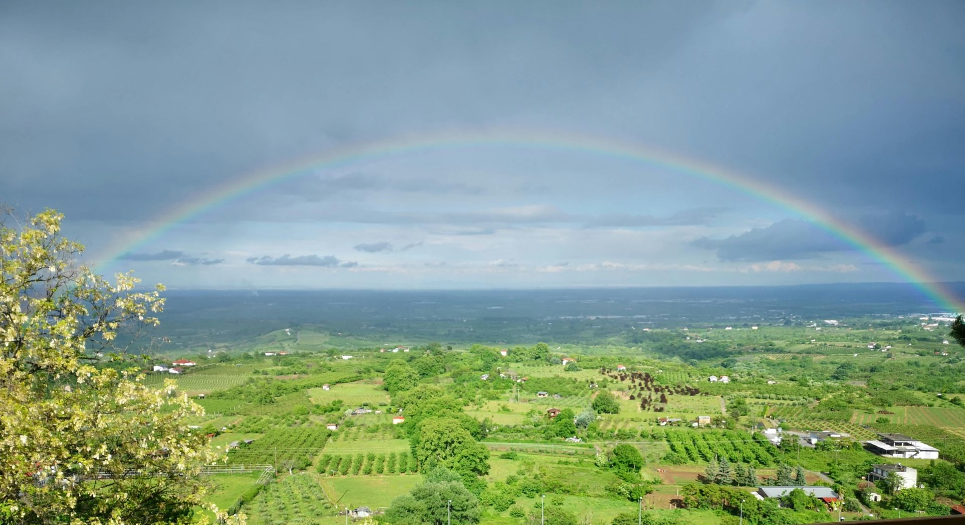 An einem bewölkten Tag spannt sich ein leuchtender Regenbogen über eine üppig grüne Landschaft.