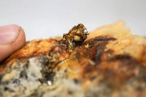 Analyst sieht erhebliches Aufwärtspotenzial für Goliath Resources