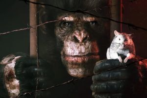 Animal Use Protocol: Rätselspaß und nervenaufreibender Horror im neuesten Trailer