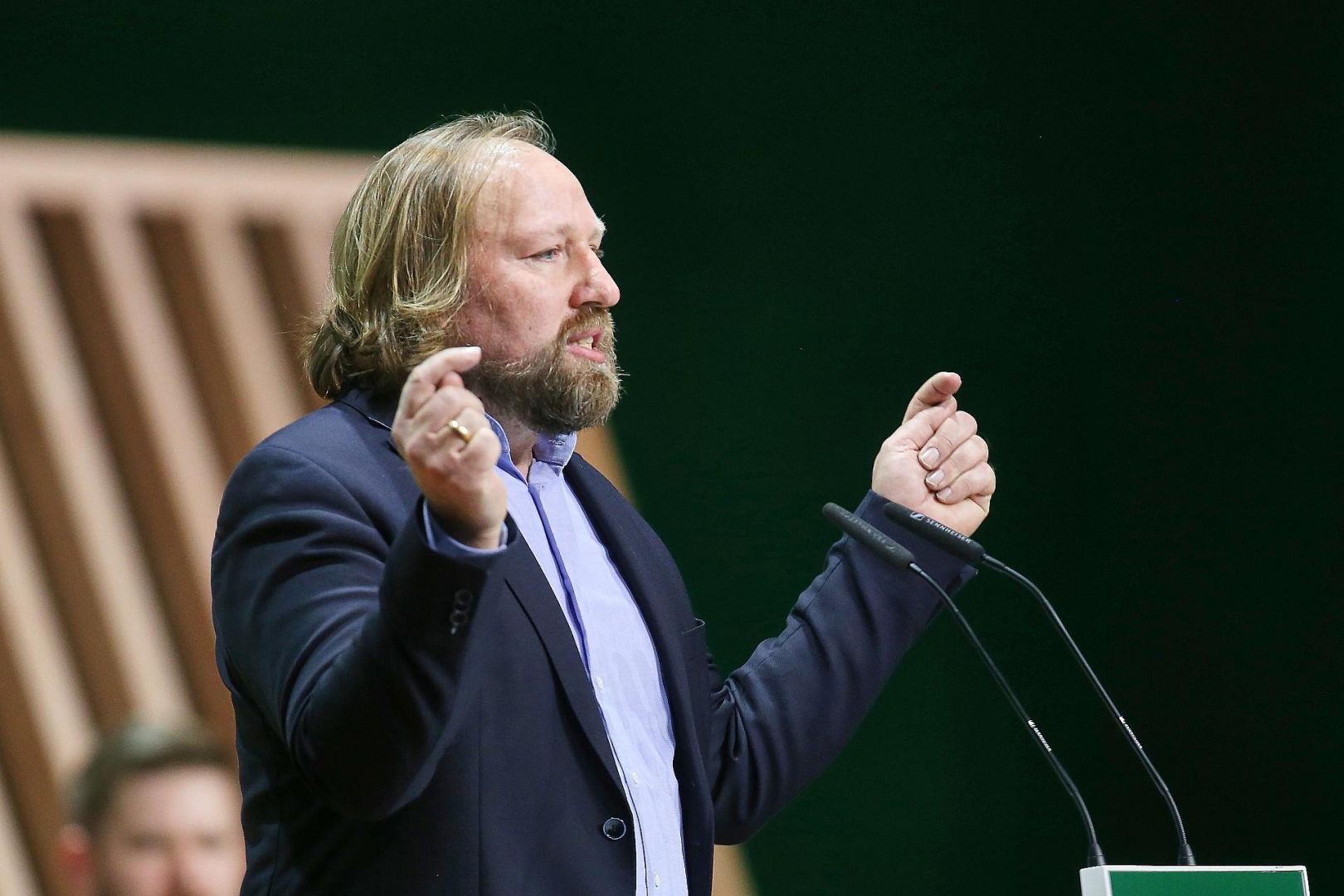 Anton Hofreiter (Archiv)