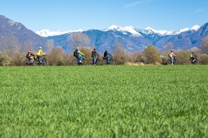 Ascona «Das schönste Dorf der Schweiz»: Wo Herkunft, Natur und Dolce Vita verschmelzen