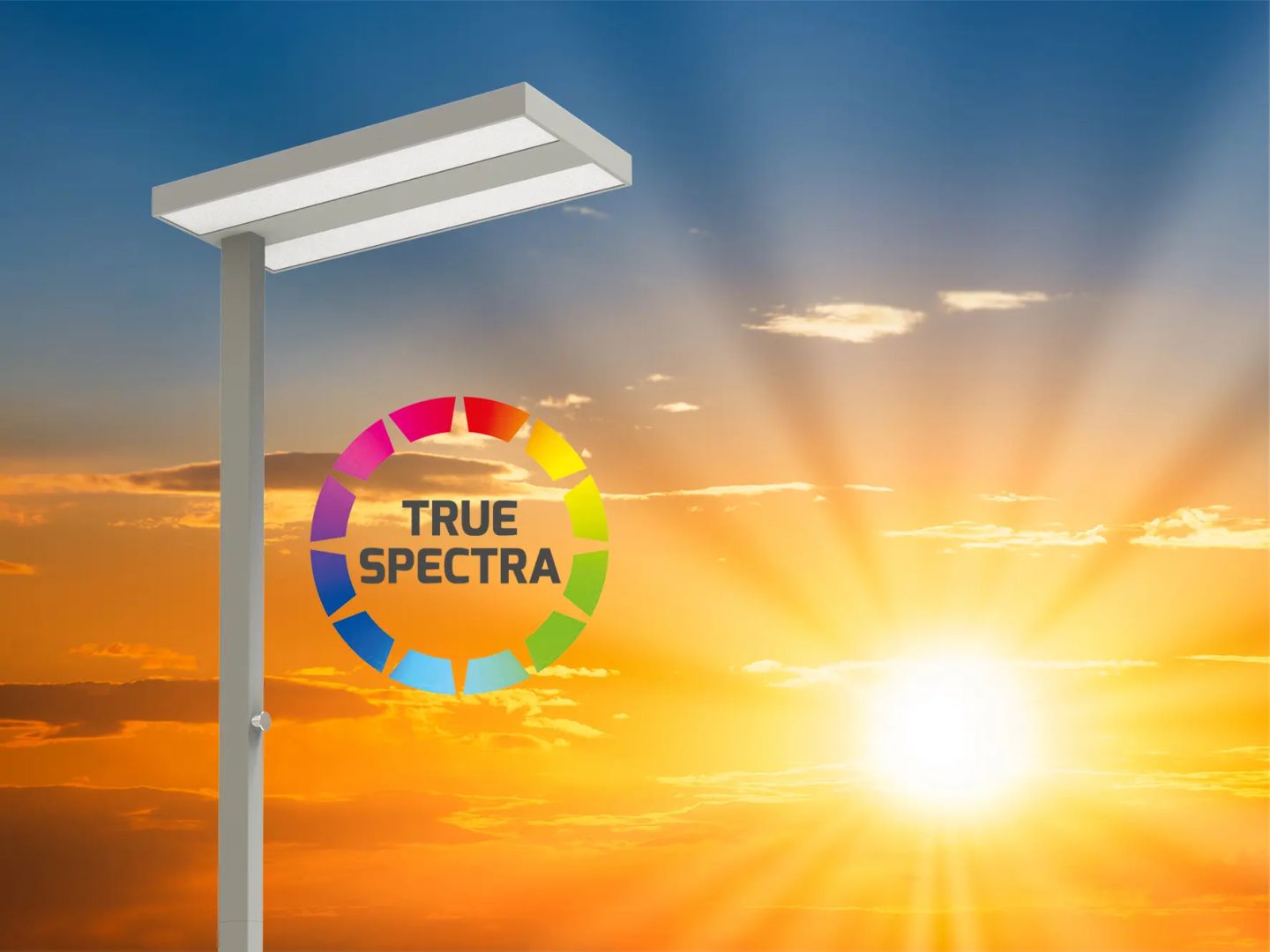 ASSISTsunlike: Ab sofort mit höherer Effizienz