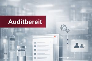 Auditbereit