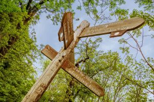 Auf Schusters Rappen - Afterwork-Wanderung