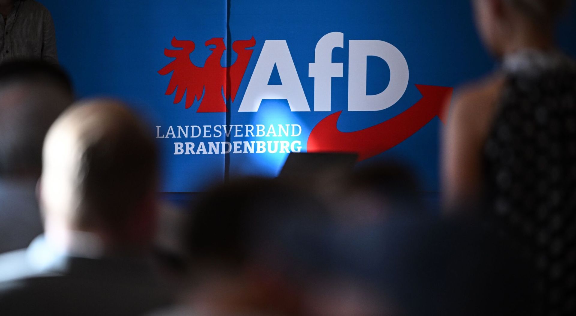 Auftaktveranstaltung der AfD in Brandenburg zur Landtagswahl