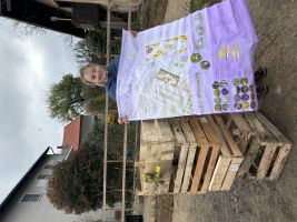 Aus einer Idee wurde eine Bewegung