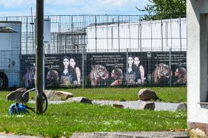 Ausgebrochener Tiger - Tag danach