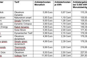 Auswahl dynamischer Stromtarife