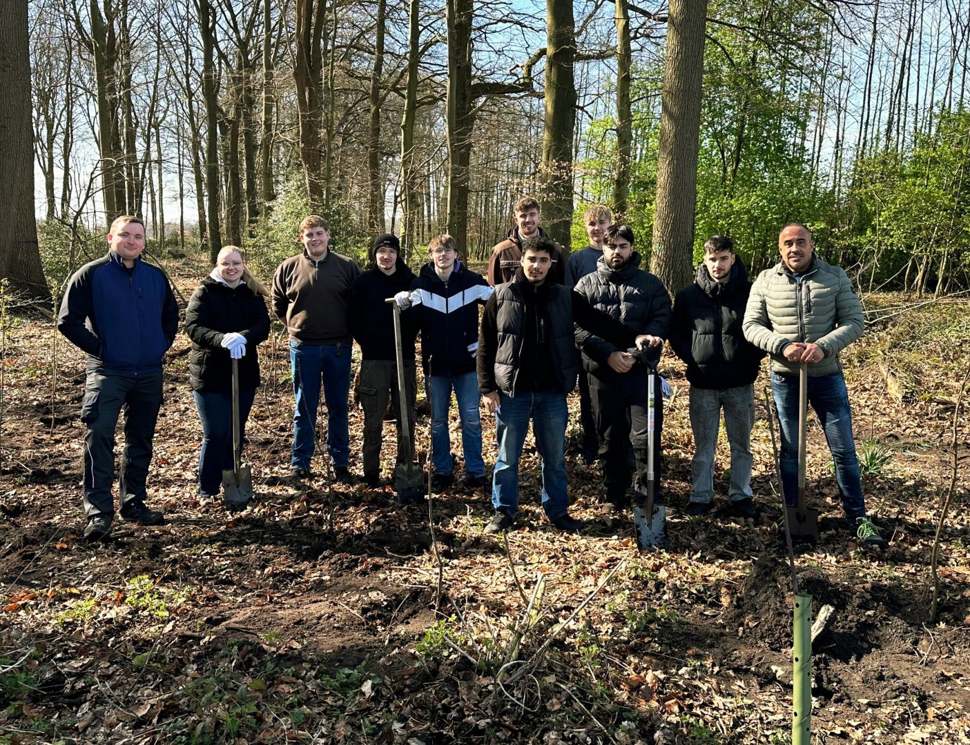 Azubis pflanzen 200 Bäume in Ochtrup
