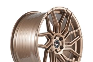 Barracuda meets Koch Racing: Dragoon am Kia Proceed GT