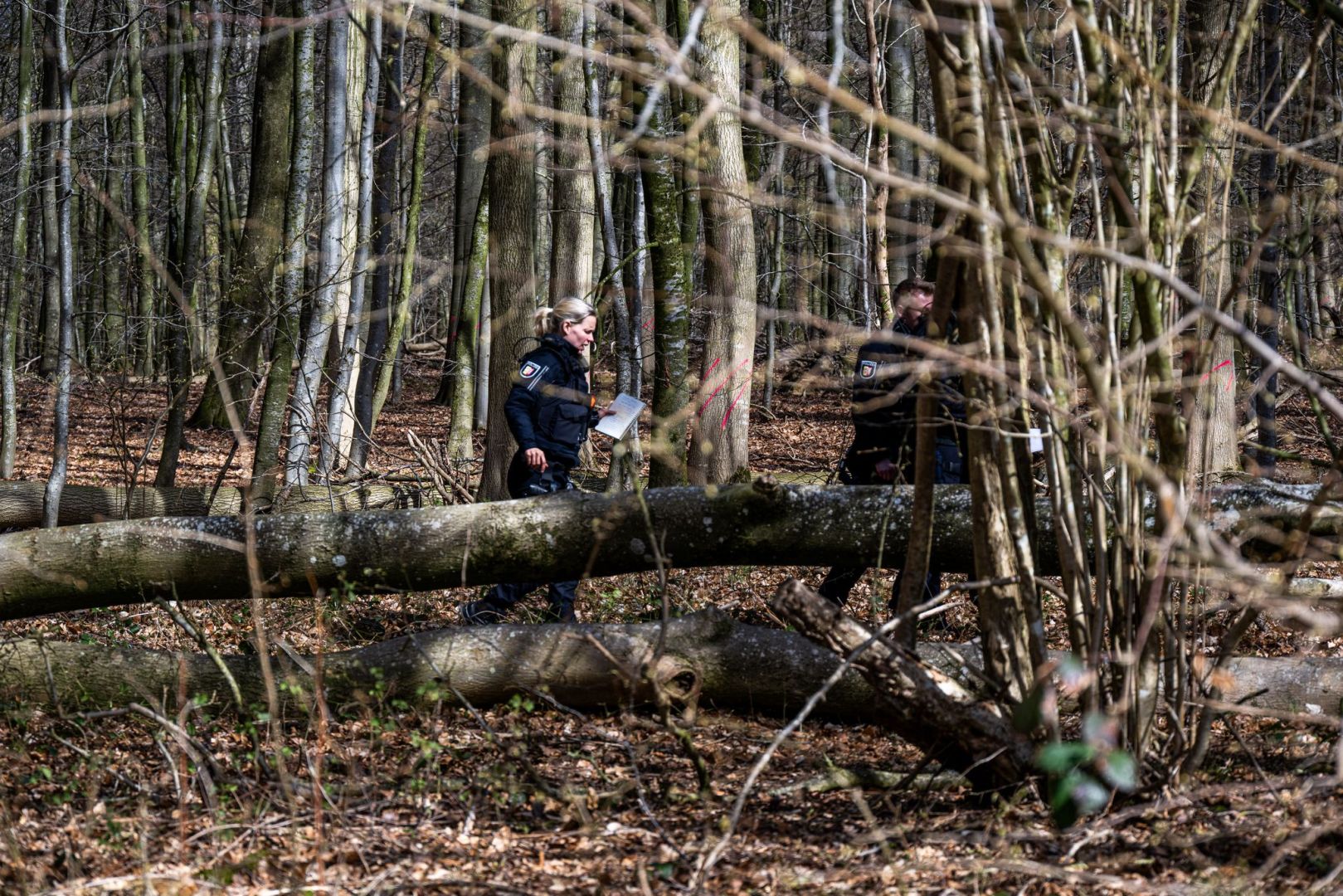 Baum umgestürzt - Drei Tote bei Flensburg