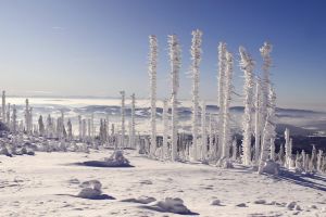 bavarian forest, three armchairs, snow landscape, winter panorama, winter magic, winter, winter landscape