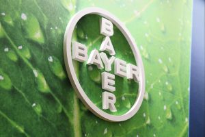 Bayer (Archiv)
