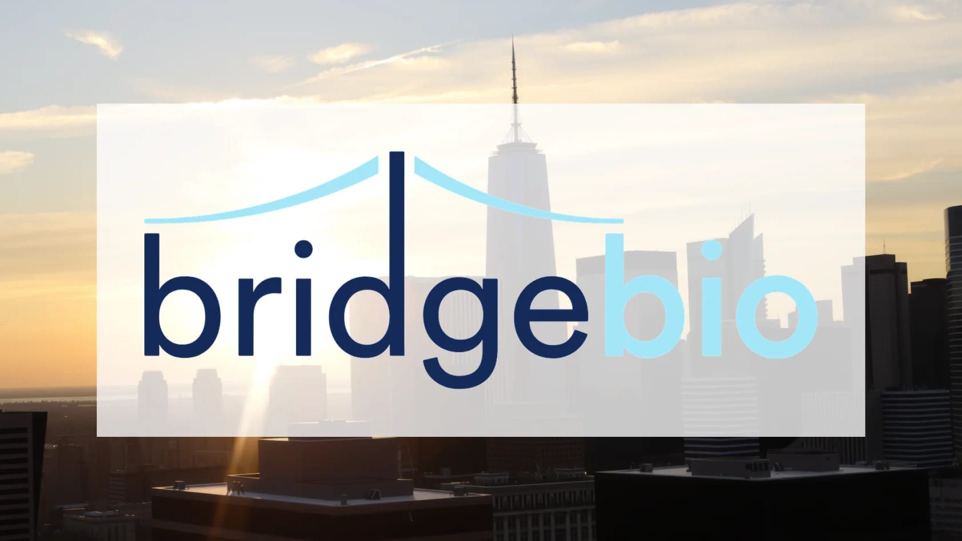 Bayer-Partner BridgeBio Pharma im Höhenflug