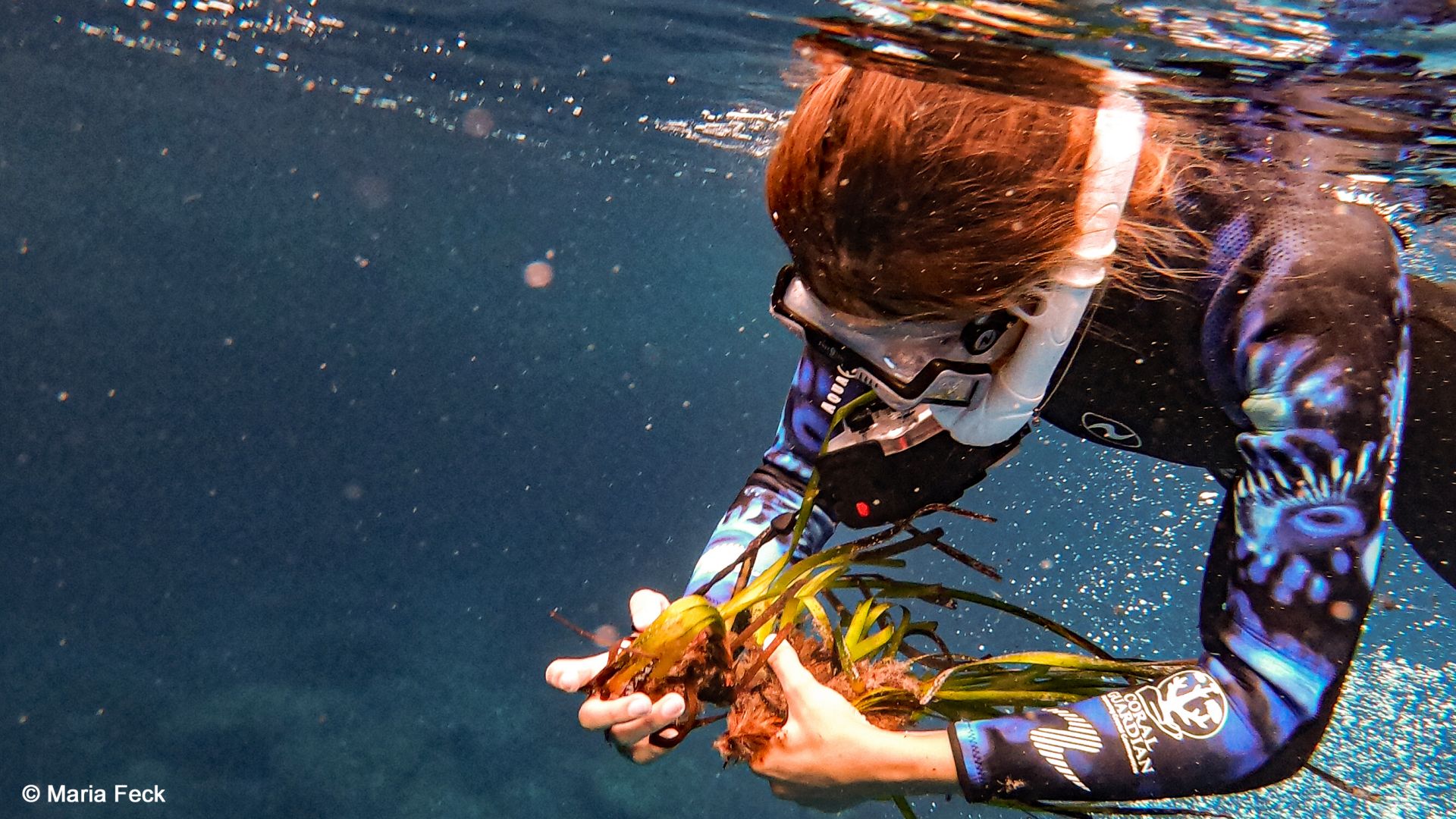Bevölkerung fordert von griechischer Regierung Einrichtung eines Meeresschutzgebietes