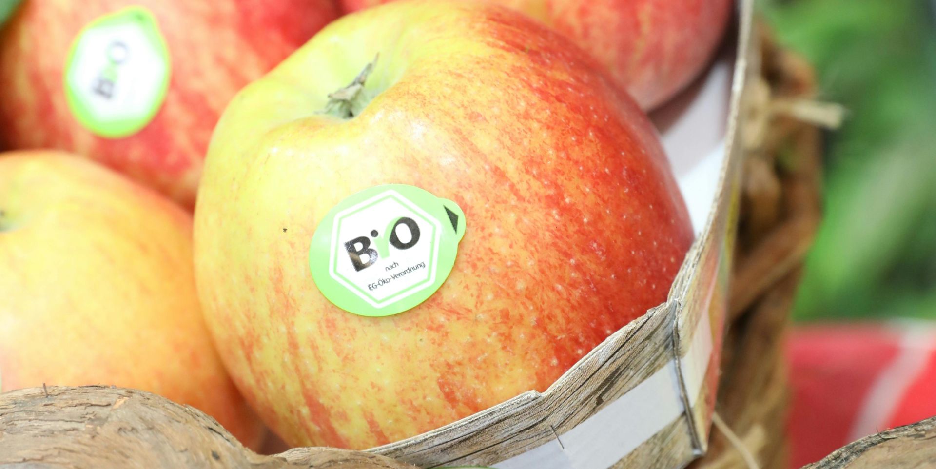 Bio boomt wieder – Umsatz mit Öko-Lebensmitteln steigt 2025 auf über 18 Milliarden Euro