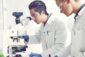 Biotech-Boom oder Blase? Warum der Gesundheitssektor gerade jetzt Anleger elektrisiert