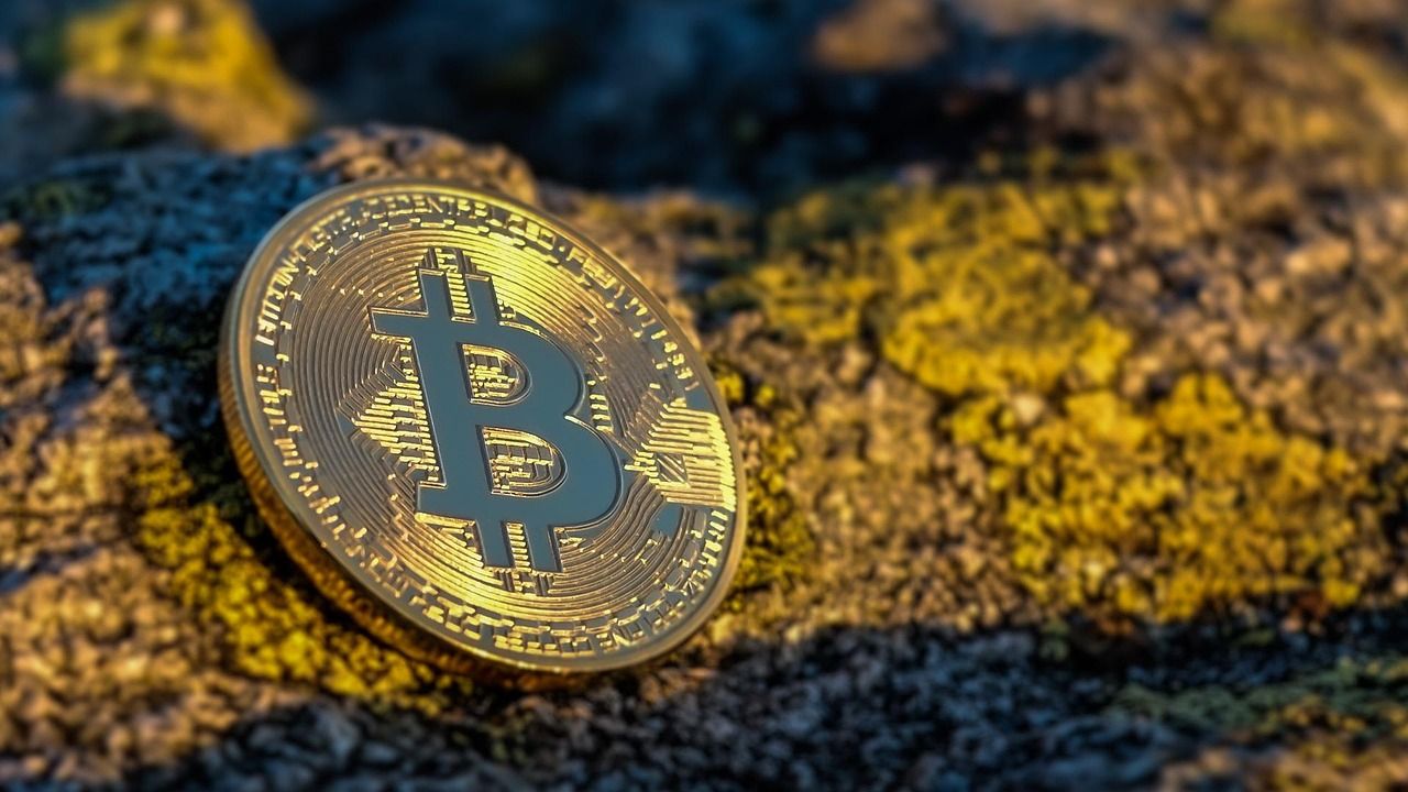 bitcoin, currency, finance, coin, crypto, cryptocurrency, brown finance