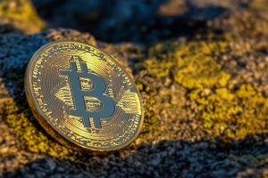 bitcoin, currency, finance, coin, crypto, cryptocurrency, brown finance