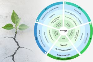 BizResilient-Cycle: Neues Framework macht IT-Qualität und Resilienz messbar