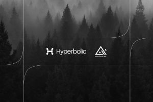 Black Forest Labs steigt zur wertvollsten KI-Firma Deutschlands auf