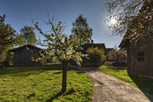 Blühende Geschichte in Kloster Irsee: Obst- und Gartenbau in Schwaben im Spiegel der Zeit