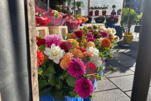 Blumen in einem Blumenladen (Archiv)