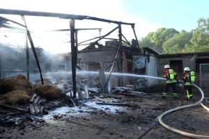 Brand auf Geflügelhof