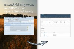 Brownfield Migration