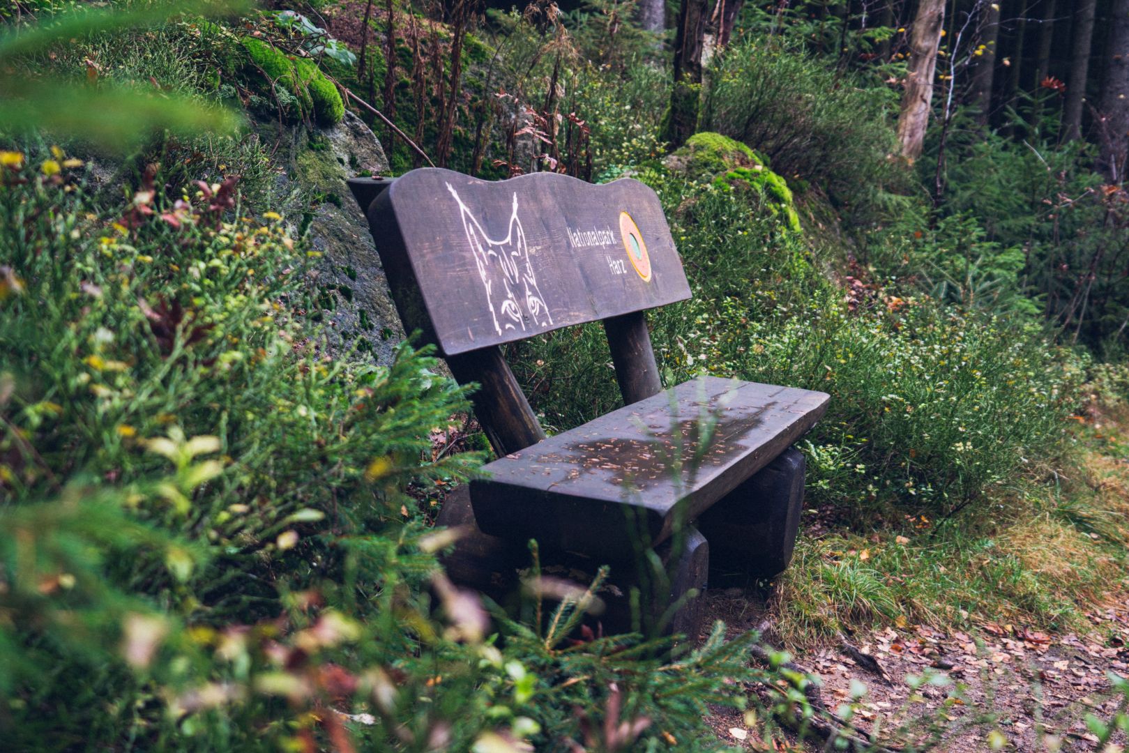 Burgberg-Diaskop und Eselsplatz