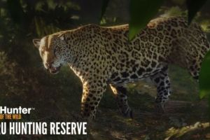 Call of the Wild: theHunter reist nach Peru