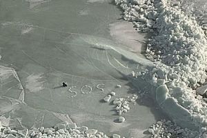 Camper geraten auf zugefrorenem bottnischen Meerbusen in Not