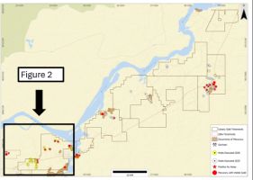 Canary Gold informiert über den aktuellen Stand der Exploration auf dem Projekt Madeira River in Rondônia (Brasilien)