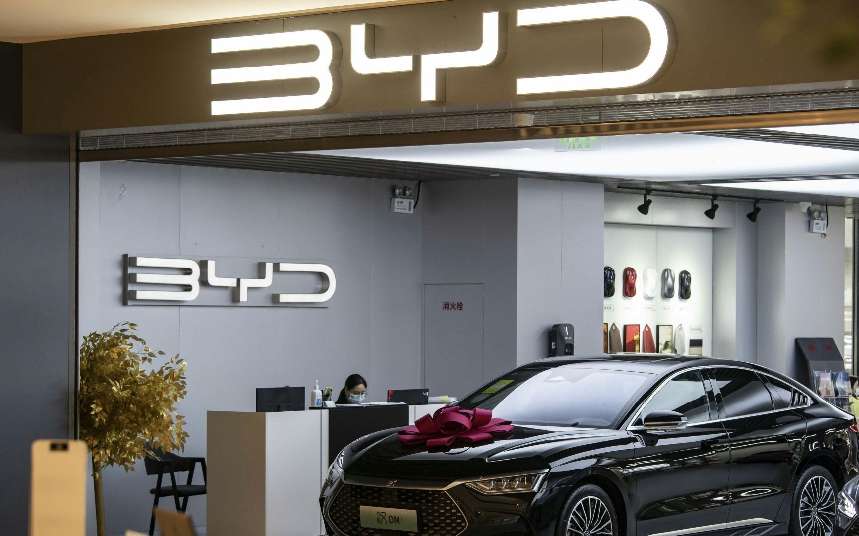 Chinas Regierung blockiert BYD-Werk in Mexiko – Sorge um Technologietransfer in die USA