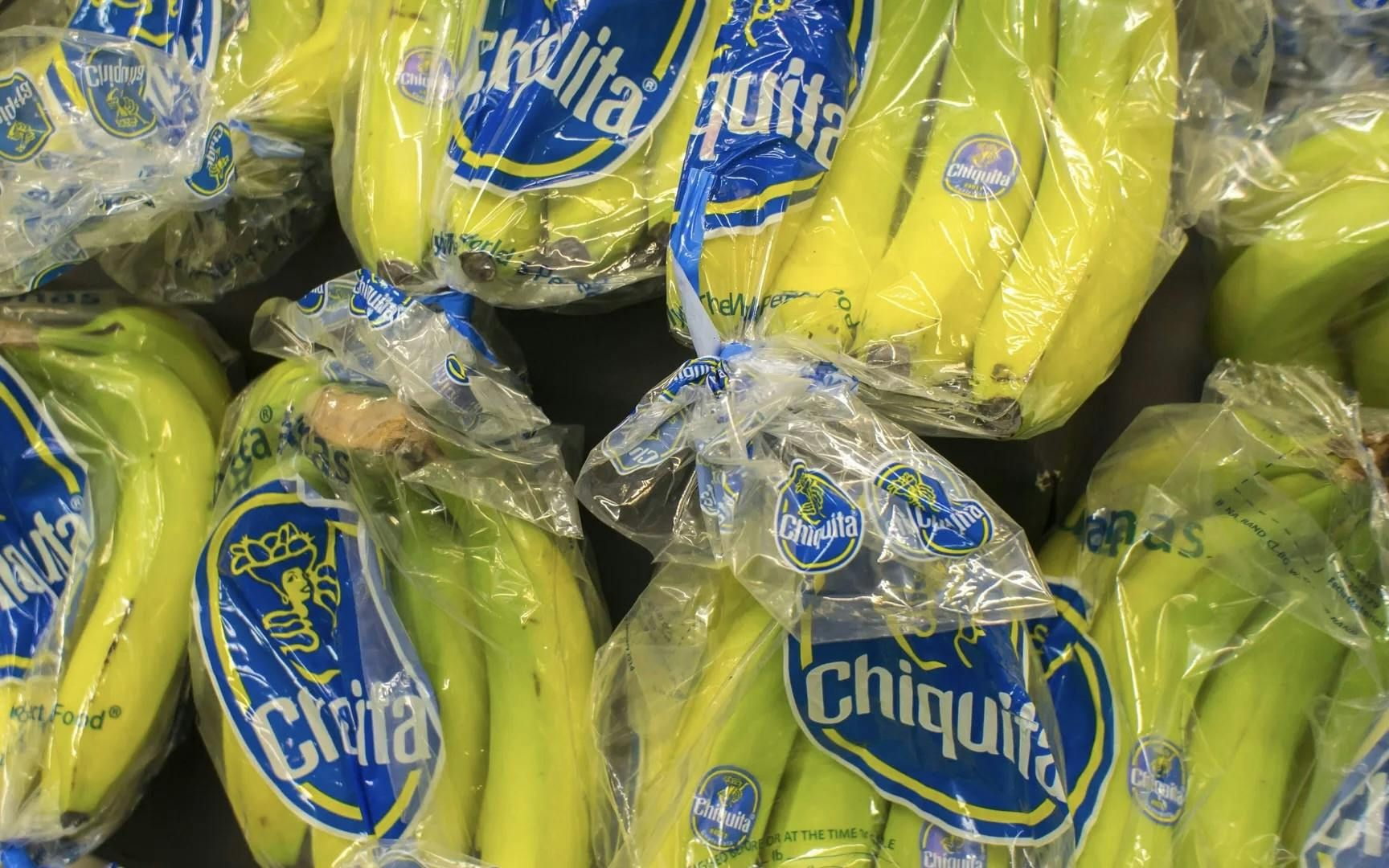 Chiquita kündigt fast 5000 Arbeiter in Panama – Präsident stellt sich hinter Massenentlassung