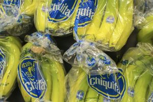 Chiquita kündigt fast 5000 Arbeiter in Panama – Präsident stellt sich hinter Massenentlassung