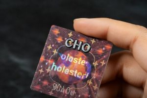 Cholesterin: Lebenswichtiger Baustein oder unterschätzter Risikofaktor?